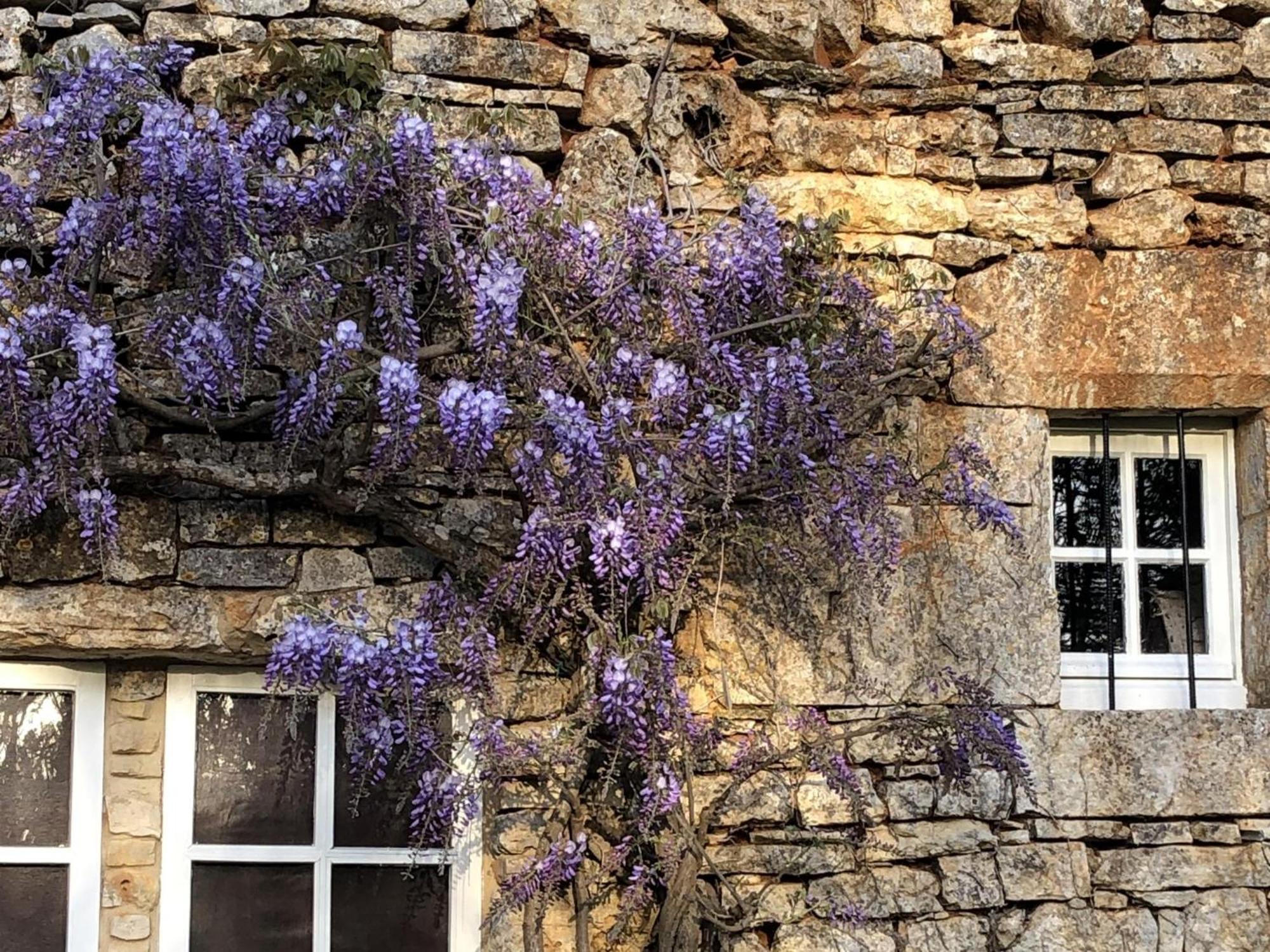 Villa Les Follets Daglan Exterior foto